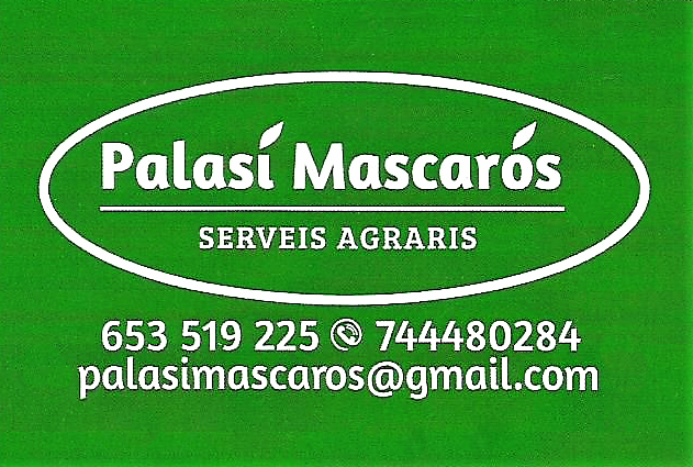 Palasí Mascarós